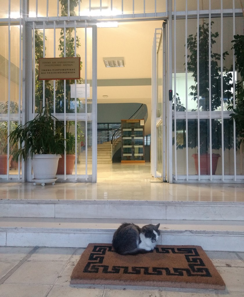 Department of Informatics and Telecommunications entrance along with the department's cat