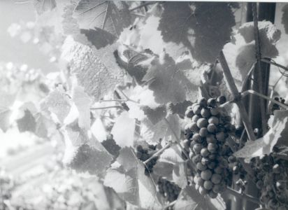 ChristianBreitbach (3)