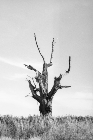 FatheaAbul 01