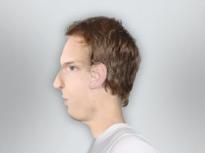 Guido Schmidt (1)