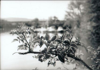 LeonBeraz 07