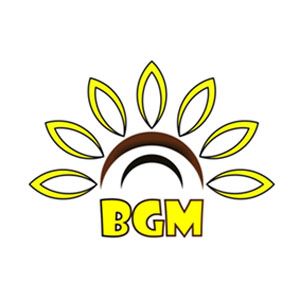 Logos BGM 0000 Ebene 27