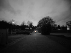 Lukas_Buchhold_04