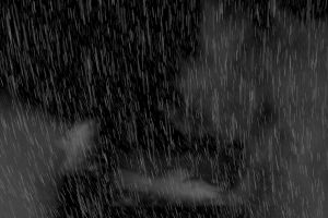Regen