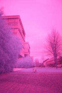Sebastian_Stuemper_04
