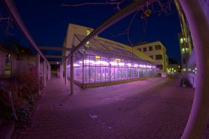 Sebastian_Stuemper_06